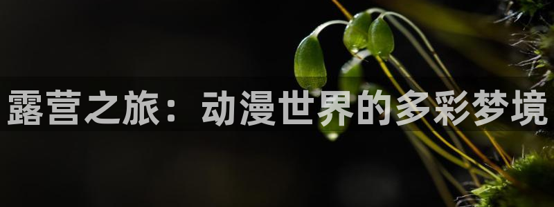 虫虫漫画热门作品大全:露营之旅:动漫世界的多彩梦境配图