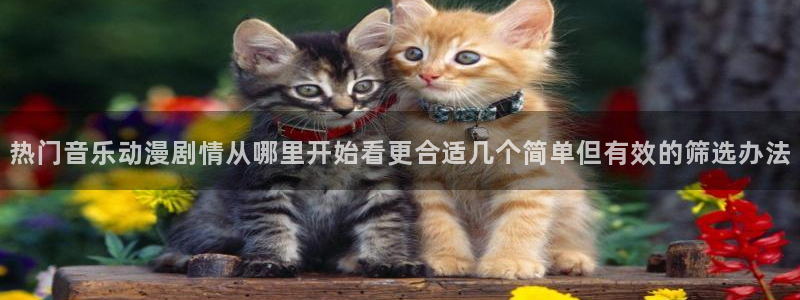 虫虫漫画人气:热门音乐动漫剧情从哪里开始看更合适几个简单但有效的筛选办法配图