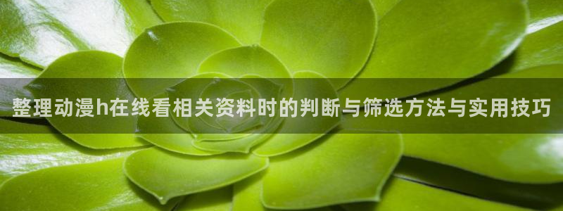 虫虫漫画有什么推荐:整理动漫h在线看相关资料时的判断与筛选方法与实用技巧配图