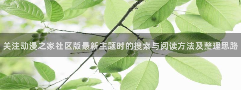 虫虫漫画章节:关注动漫之家社区版最新主题时的搜索与阅读方法及整理思路配图